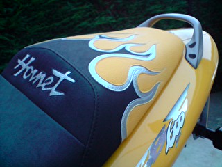 Hornet Yellow flames